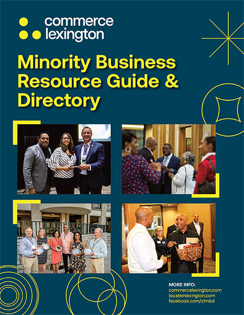 Minority Guide cover