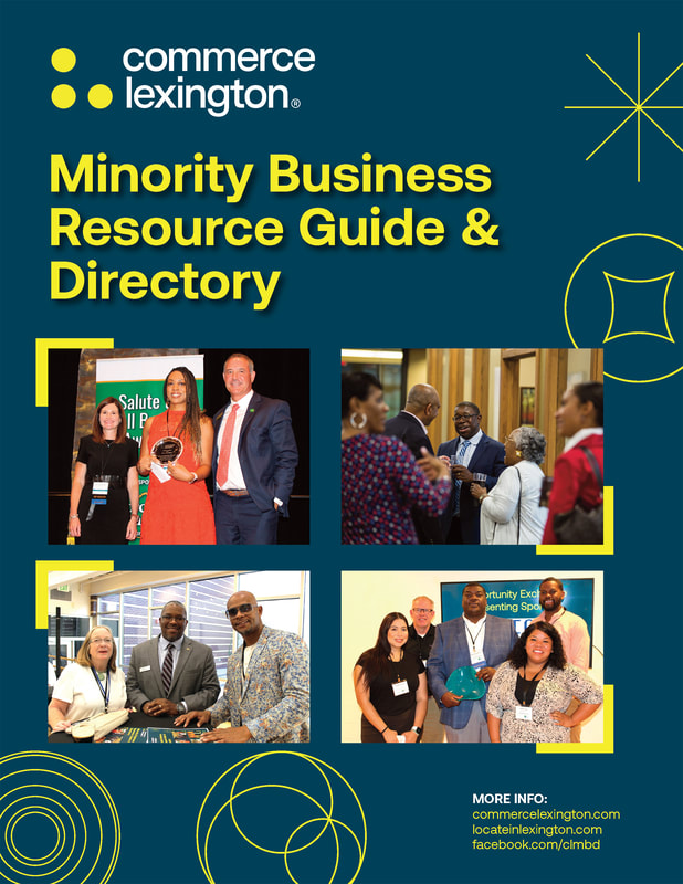 Minority Guide cover