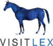 VisitLex logo