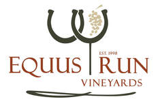 Equus Run logo